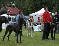 CHOOSING OF BEST OF MALE (CACIB) - (ELVIS FROM LONG NECK, RE-A and FLY TO SUCCESS CLAUDIA BOHEMICA)