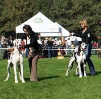 FEMALE - Junior class (LUCE-A and AKIRA ACRA Serenczas)